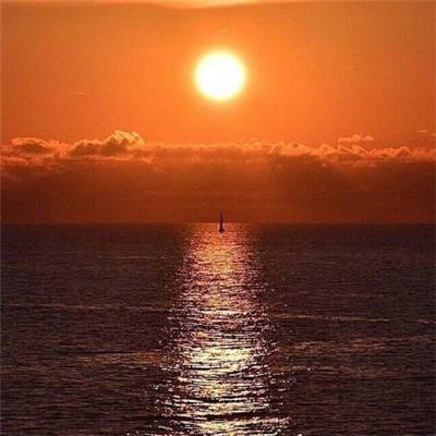 yabo网页版手机截图