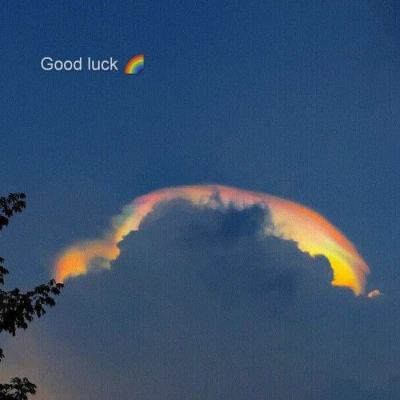 yabo网页版手机截图